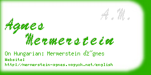 agnes mermerstein business card